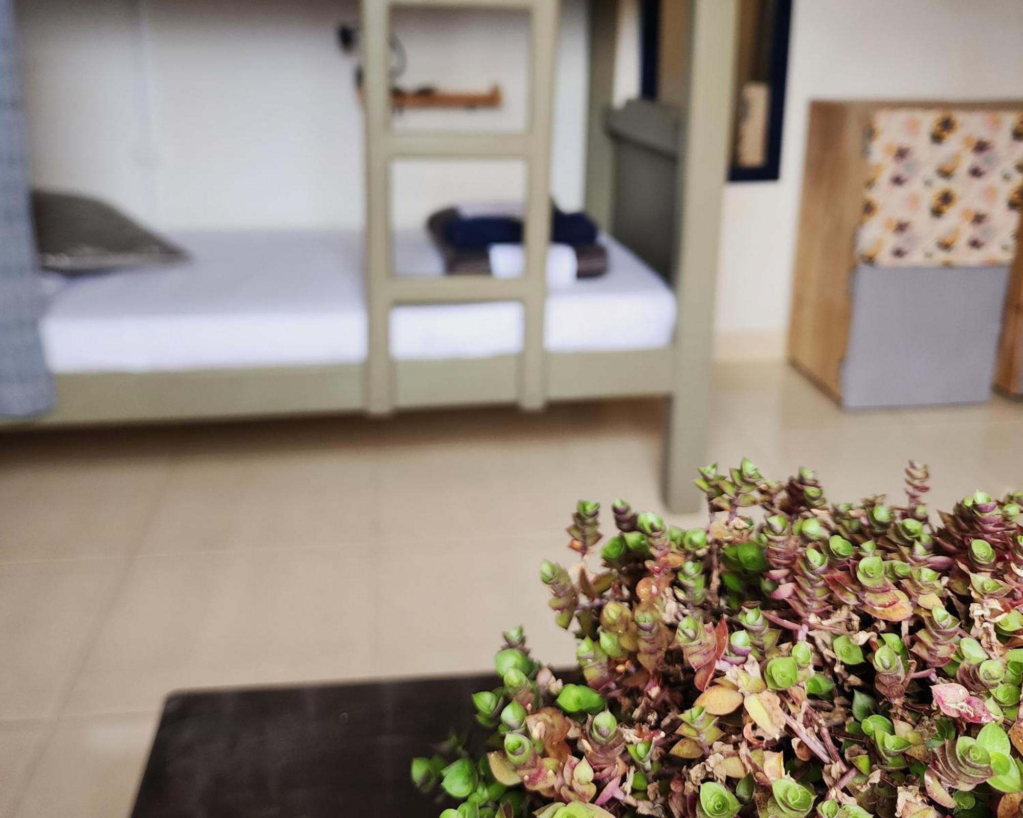 Casa Kayam Art Hostel Coliving Coworking غواتابيه الغرفة الصورة