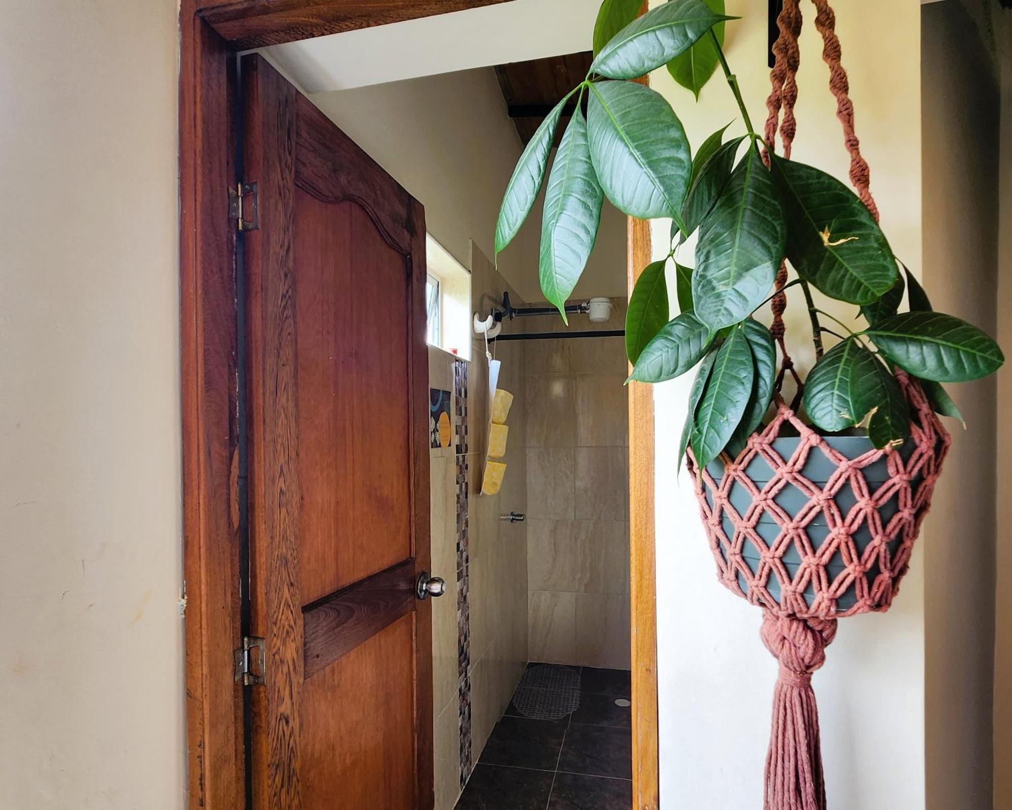 Casa Kayam Art Hostel Coliving Coworking غواتابيه الغرفة الصورة