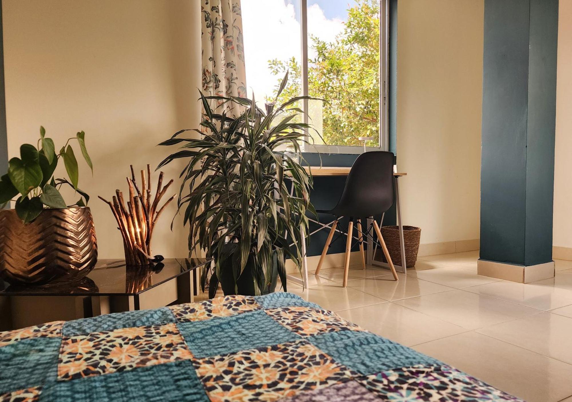 Casa Kayam Art Hostel Coliving Coworking غواتابيه الغرفة الصورة